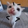 noodlesoupxg's profile picture