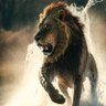 🇮🇱🇮🇱🇮🇱🇮🇱's profile picture