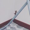 ﾜｱﾜｱﾜｱ 的头像