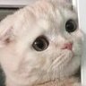 bqvgclo's profile picture