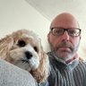 Maggie’s Hooman 🇺🇸 🟦 🇮🇱's profile picture