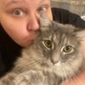 A Vitriolic Parent's profile picture
