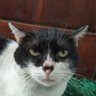 Drs.WAKAPOLDUR's profile picture