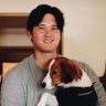 翔平 唯一無二&デコピン's profile picture