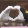 腐ってもみかん's profile picture