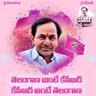 Profilbild von Sridhar Goud BRS