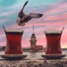 Ilyas Bozkurt's profile picture
