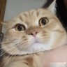 Profilbild von 龙
