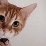 Profilbild von zzinzzov