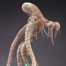 spriterealm's profile picture