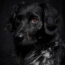 Barney's profile picture
