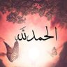 ابو فرحان الدهمشي 的头像