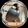 かほっち's profile picture