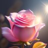 Siela's profile picture