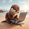 João's profile picture