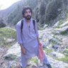 haider naz 的头像