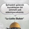 Profilbild von Serfe Pınar