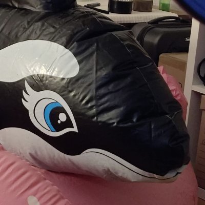 XyzzyOrca's profile picture
