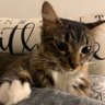 BM's profile picture