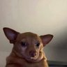 Hayormiede profil fotoğrafı