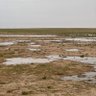 Фото профиля هديبان ناصر الدوسري