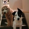 JNellie71's profile picture