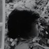 Profilbild von Diego Flâneur