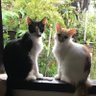 Gy profil fotoğrafı