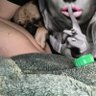 missashleybabyy profil fotoğrafı