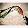 Waleed Rimawi's profile picture