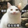 Daniel's profile picture