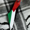 Фото профиля Palestineforever