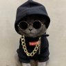 Profilbild von jean jacket