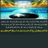 Profilbild von •أبو مروان•