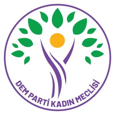 DEM Parti İstanbul Kadın Meclisi's profile picture