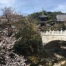 ヒトシ 的头像