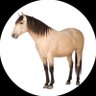 my special k's profile picture