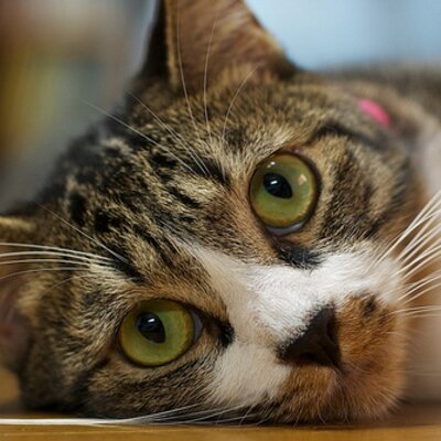 9SQ's profile picture
