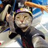 Profilbild von 尼碟