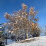 Фото профиля Suisse et libre