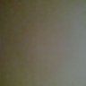 z's profile picture