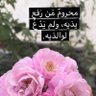 Фото профиля اللهم اكرمنا ولا تحرمنا