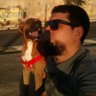 comunisto de Xiaomi's profile picture