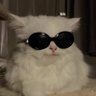 naninanani's profile picture