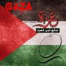 Talat Esmail's profile picture