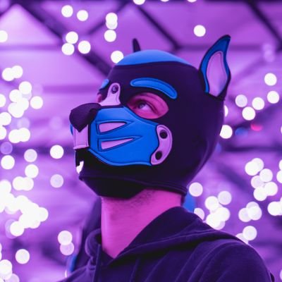 PupHunter's profile picture