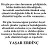Hüsniye Erdilal profil fotoğrafı
