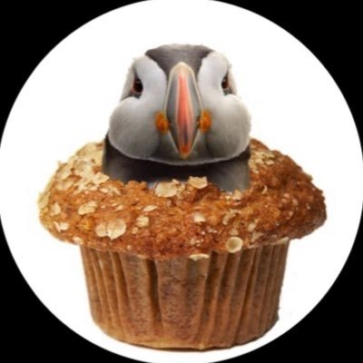 trout mask (original)'s profile picture