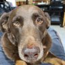 Jmscwood's profile picture