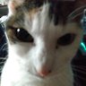 AMH's profile picture